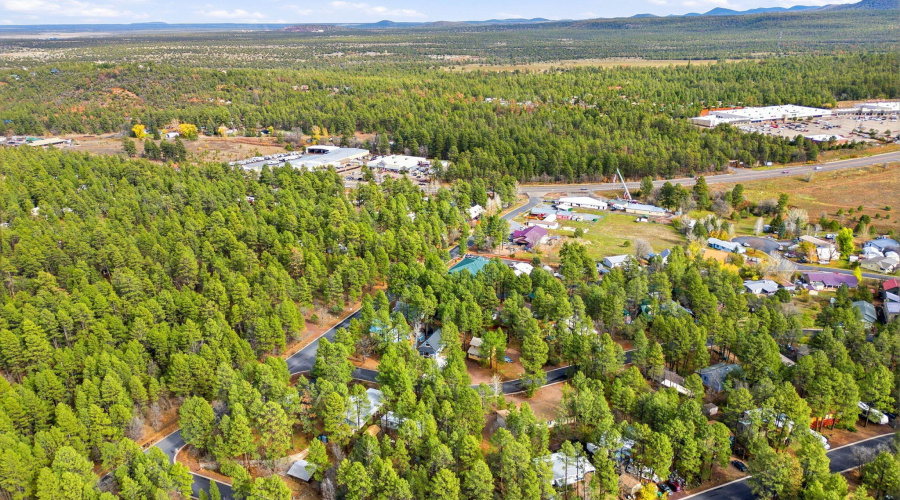 4041AntlerLn-ShowLow-AZ-34