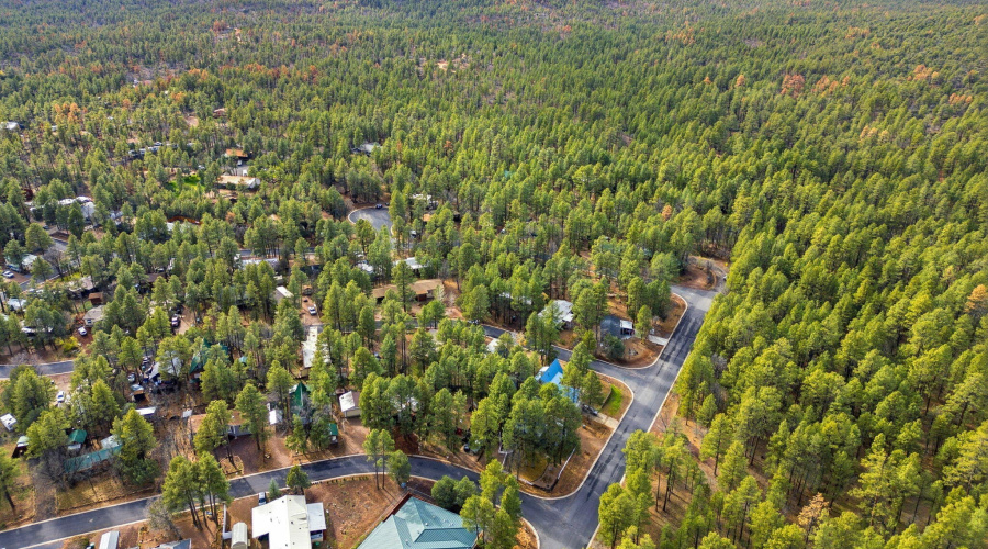 4041AntlerLn-ShowLow-AZ-35