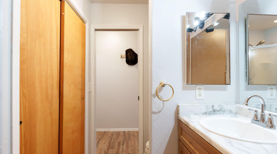 DownstairsBathroomCloset