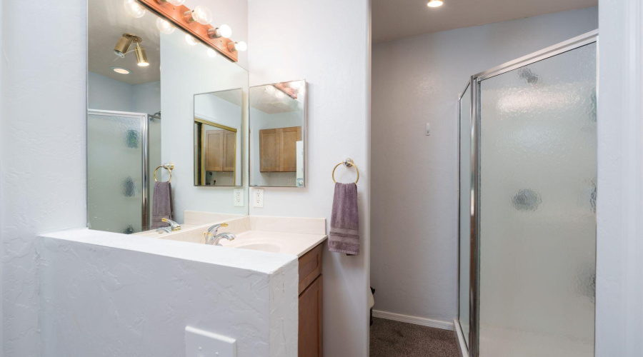 LoftBathroomVanityWalkinShower