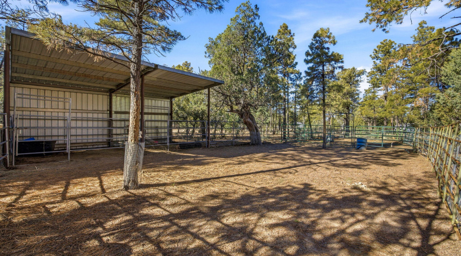 2009JudyRanchRd-OvergaardAZ-30