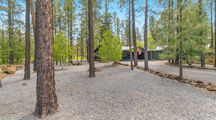 7451 Buck Springs Rd, Pinetop (7)