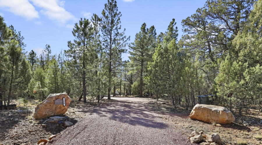 Driveway from street