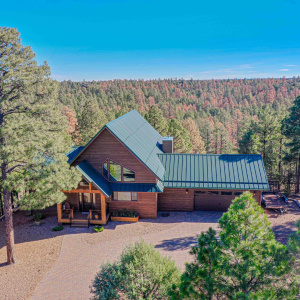 2893 Cedar Ridge Dr Overgaard, AZ 85933