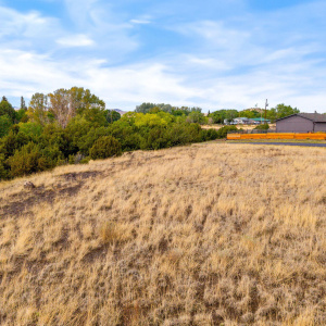 Parcel009-Eagar-AZ-16