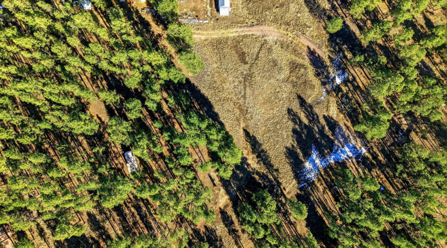 Parcel10131007-Alpine-AZ-2