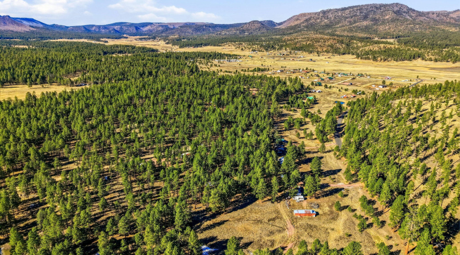Parcel10131007-Alpine-AZ-5