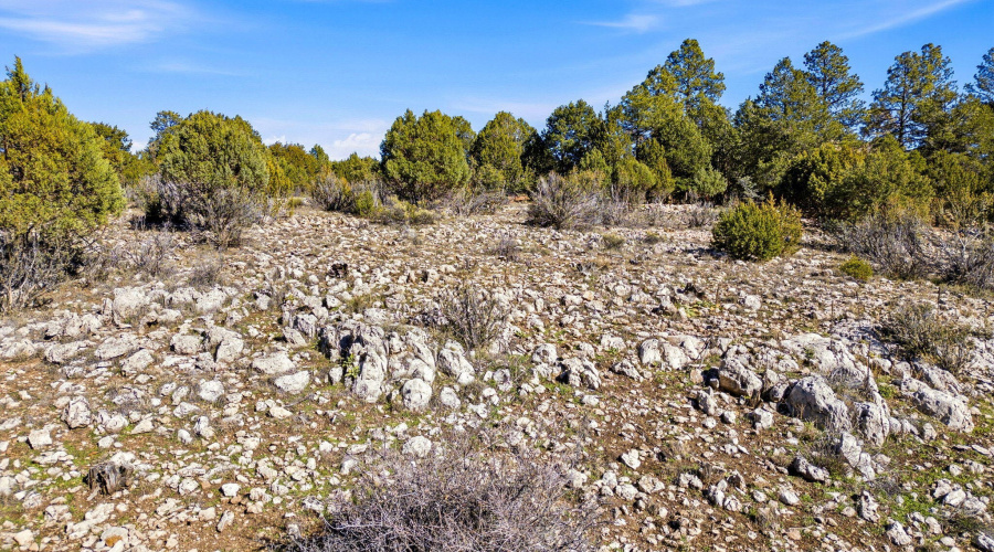 2287AeroMechDr-Overgaard-AZ-9