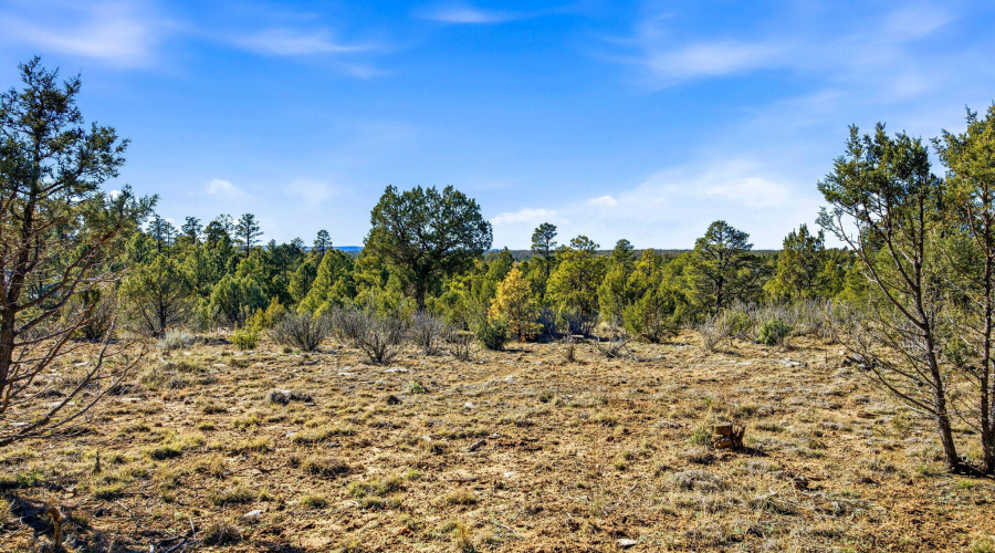 2287AeroMechDr-Overgaard-AZ-10