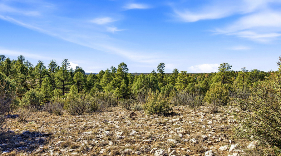 2287AeroMechDr-Overgaard-AZ-11