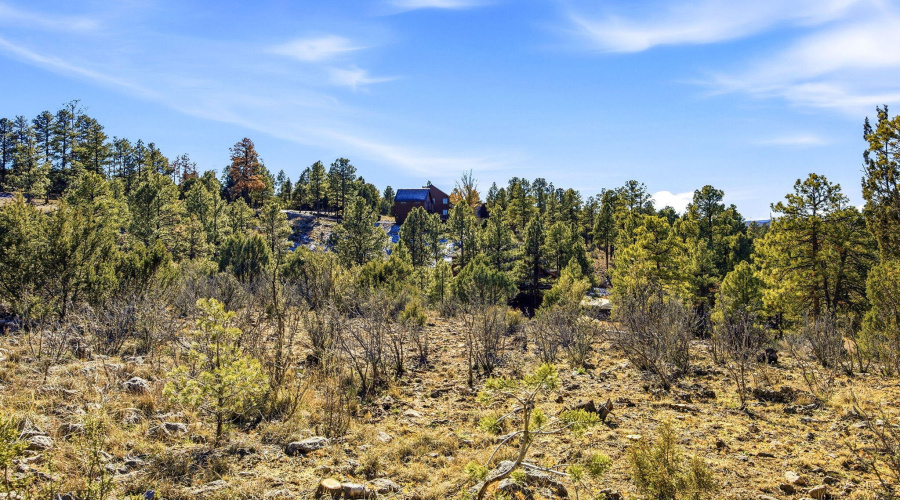 2287AeroMechDr-Overgaard-AZ-12