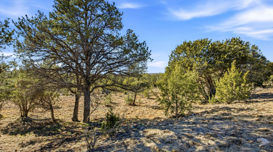 2287AeroMechDr-Overgaard-AZ-14