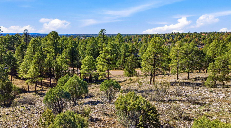 2287AeroMechDr-Overgaard-AZ-8