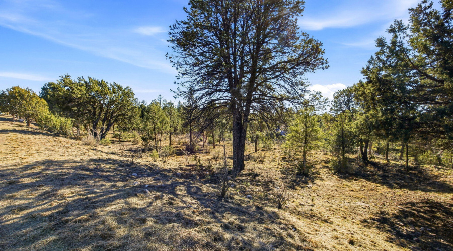 2287AeroMechDr-Overgaard-AZ-13