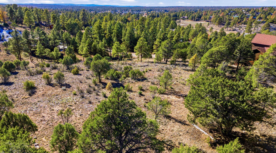 2287AeroMechDr-Overgaard-AZ-4