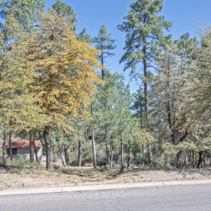 As seen from the street