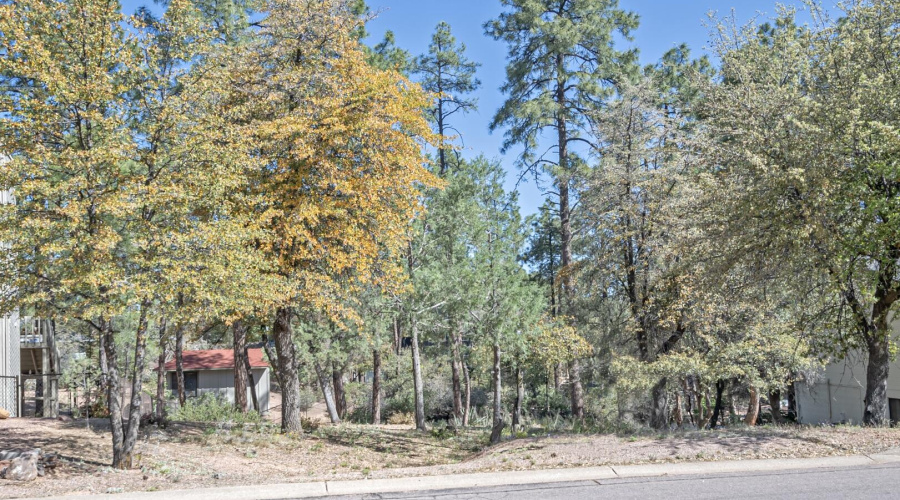 As seen from the street