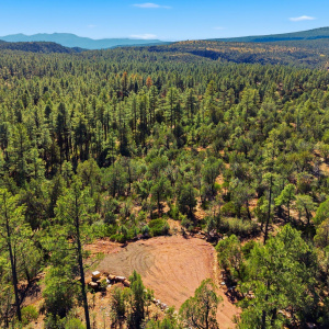 DJI_20251207131355_0002_D