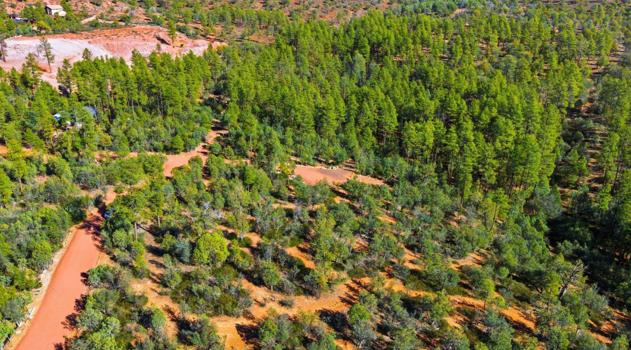 DJI_20251207131602_0011_D