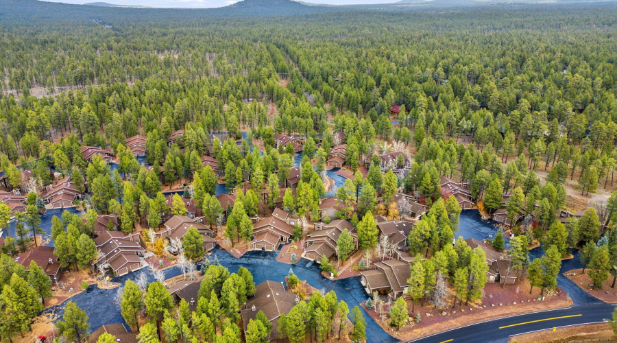 5776 Spruce Circle Pinetop