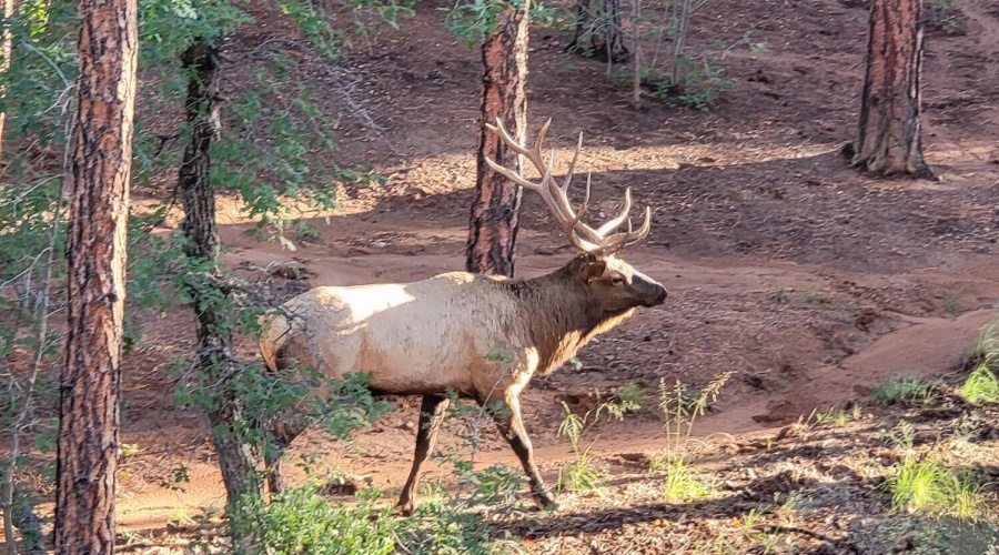 Resized_20250919_171752