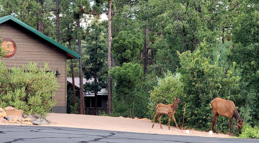 Resized_20250720_192050