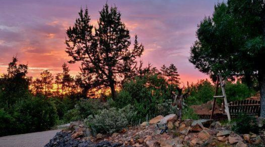 Resized_20240629_193953