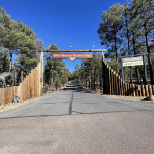 Photo Dec 08 2025, 12 52 35 PM