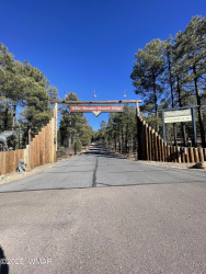 2321 Quarter Horse Way, Show Low, Arizona 85901, ,Land,For Sale,Quarter Horse,258897