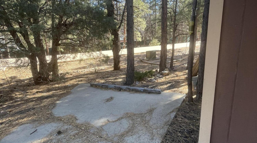 Photo Dec 08 2025, 12 31 23 PM