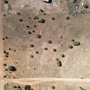 paxmanphoto_DJI_0612