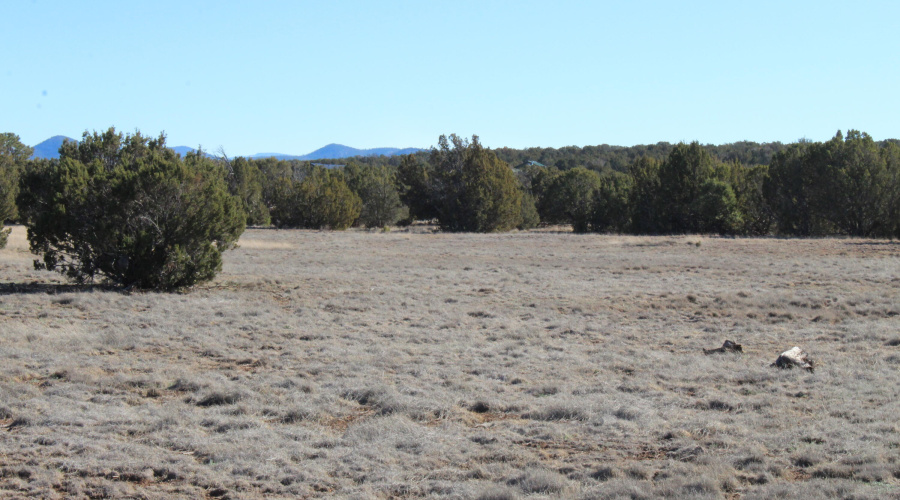 Gilbert  K B Ranch Road (10)