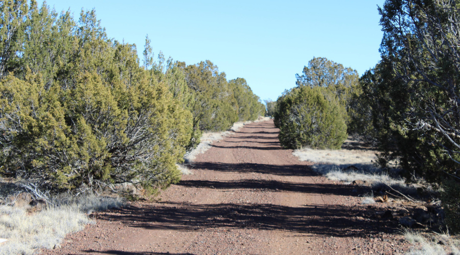 Gilbert  K B Ranch Road (12)