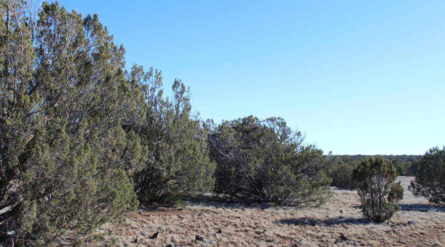 Gilbert  K B Ranch Road (13)