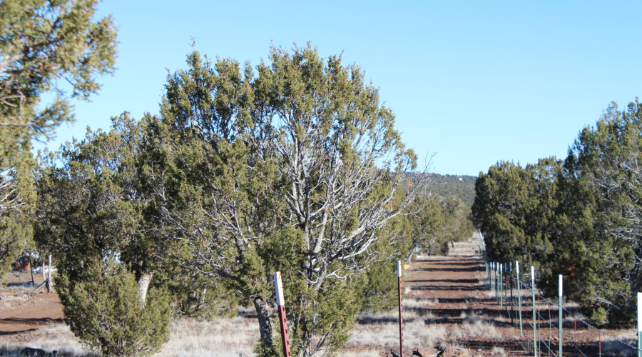 Gilbert  K B Ranch Road (15)