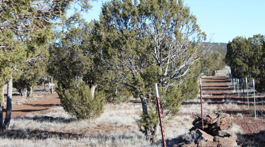 Gilbert  K B Ranch Road (16)