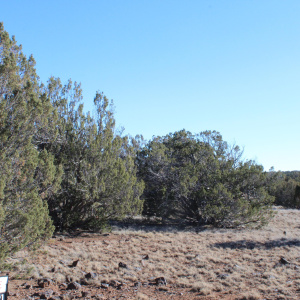 Gilbert  K B Ranch Road (14)