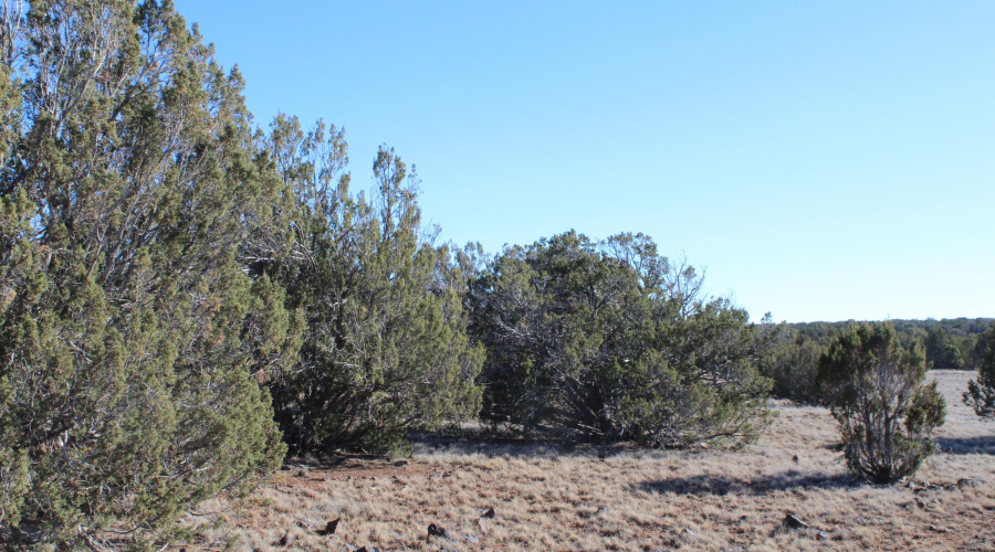 Gilbert  K B Ranch Road (14)