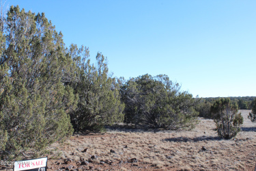 Lot 163B KB Ranch Road, Show Low, Arizona 85901, ,Land,For Sale,KB Ranch Road,258899