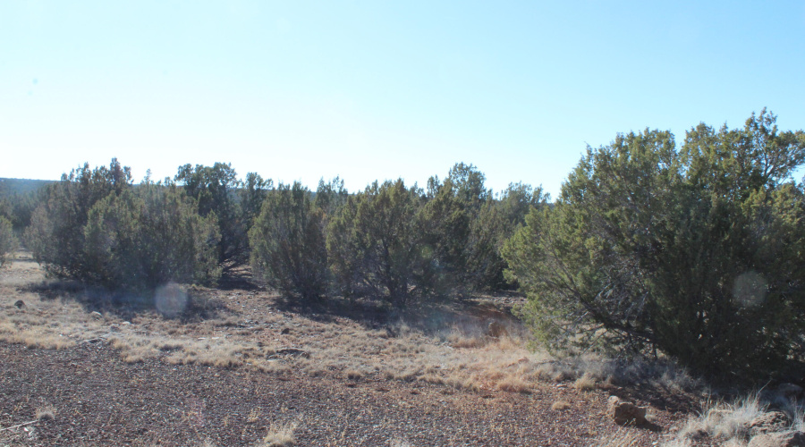 Gilbert  K B Ranch Road (2)