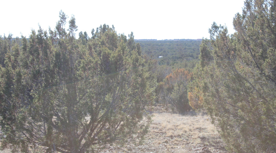 Gilbert  K B Ranch Road (3)