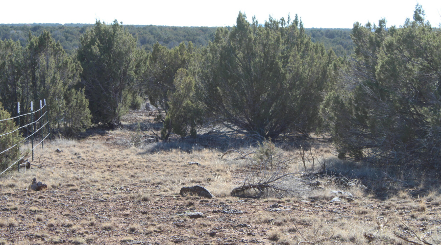 Gilbert  K B Ranch Road (4)