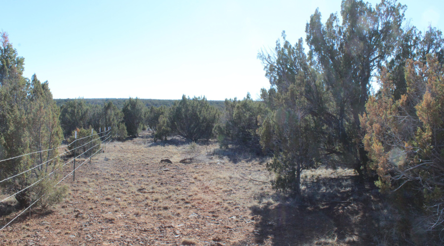 Gilbert  K B Ranch Road (5)