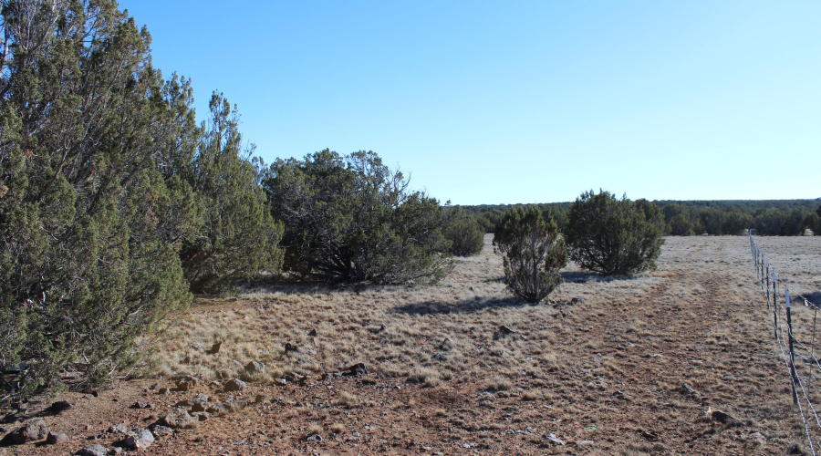 Gilbert  K B Ranch Road (6)