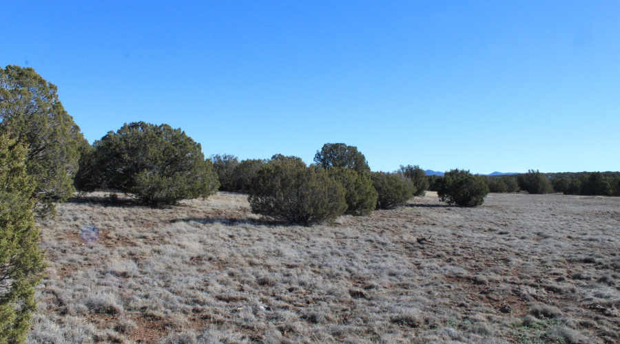 Gilbert  K B Ranch Road (8)