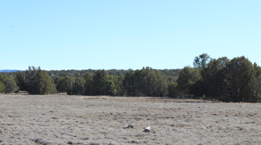 Gilbert  K B Ranch Road (9)