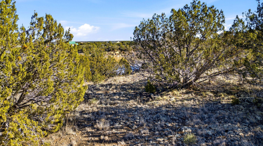 1955DaggsCir-ShowLow-AZ-6