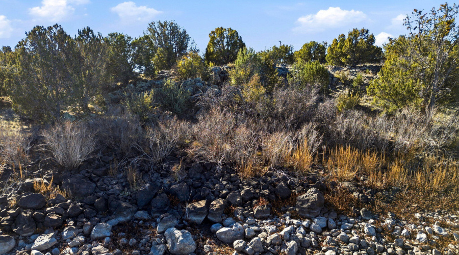 1955DaggsCir-ShowLow-AZ-5