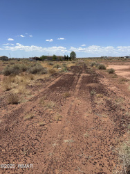 3-Lots Deer Field Boulevard, Winslow, Arizona 86047, ,Land,For Sale,Deer Field,258908