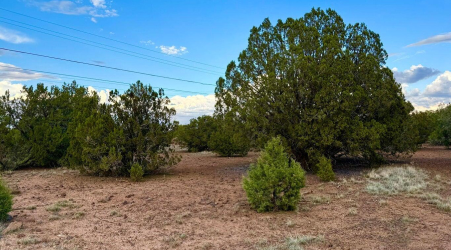 20251114200207630435000000-o